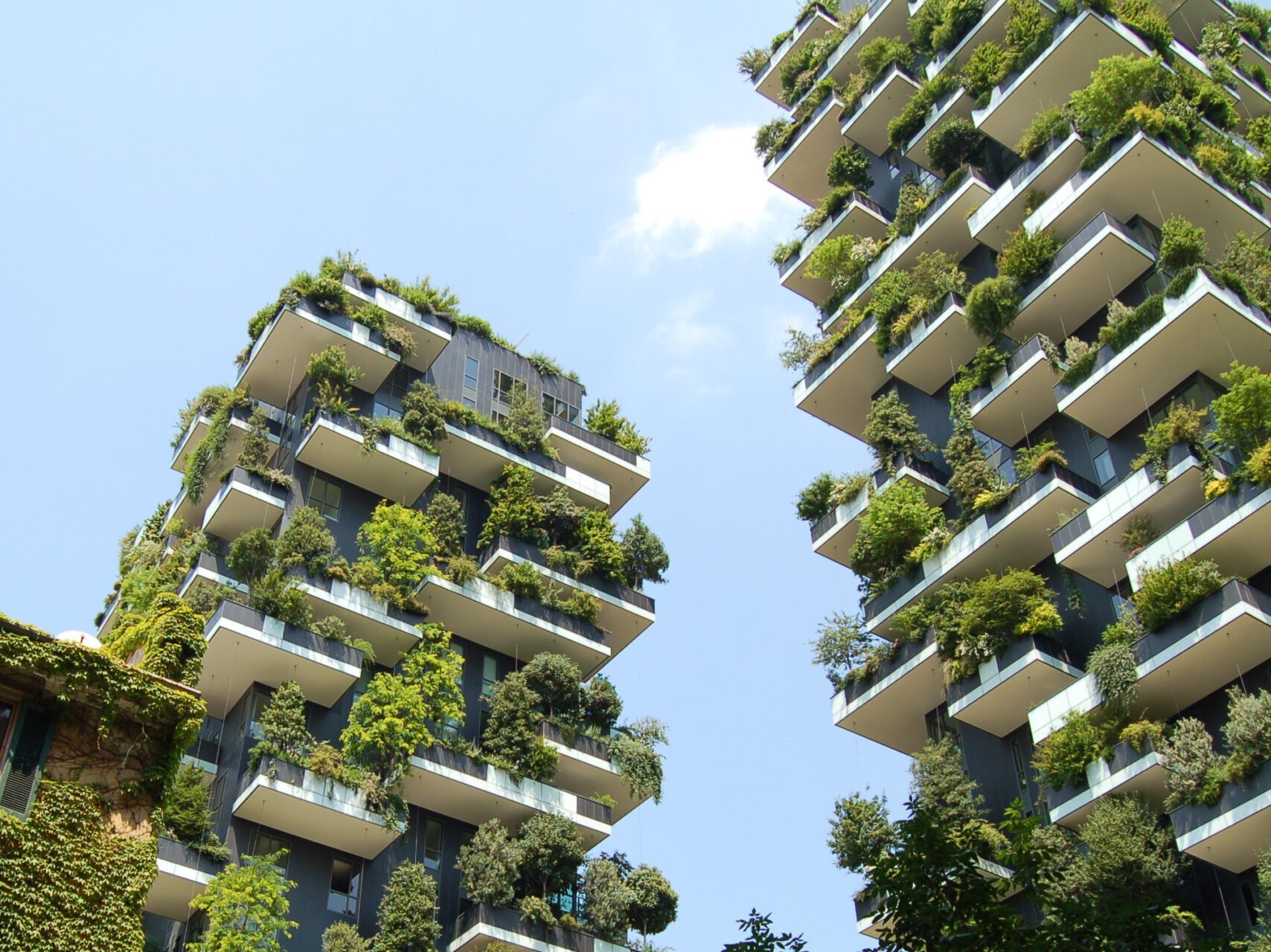 Read more about the article Eco Architecture